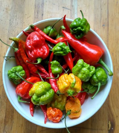 skal-med-olika-starka-chilis