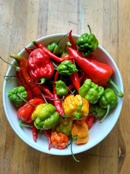 skal-med-olika-starka-chilis