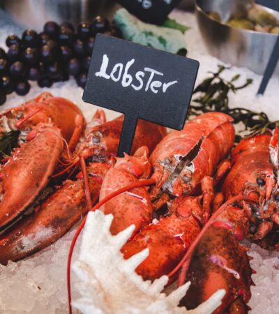 lobster on icy tray
