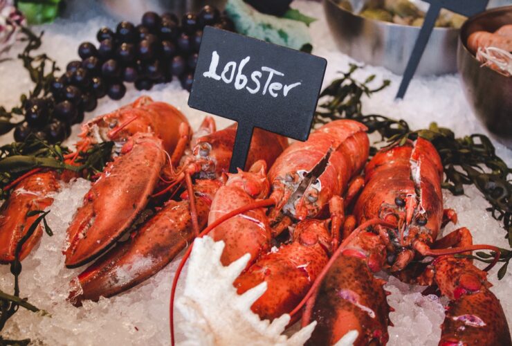lobster on icy tray